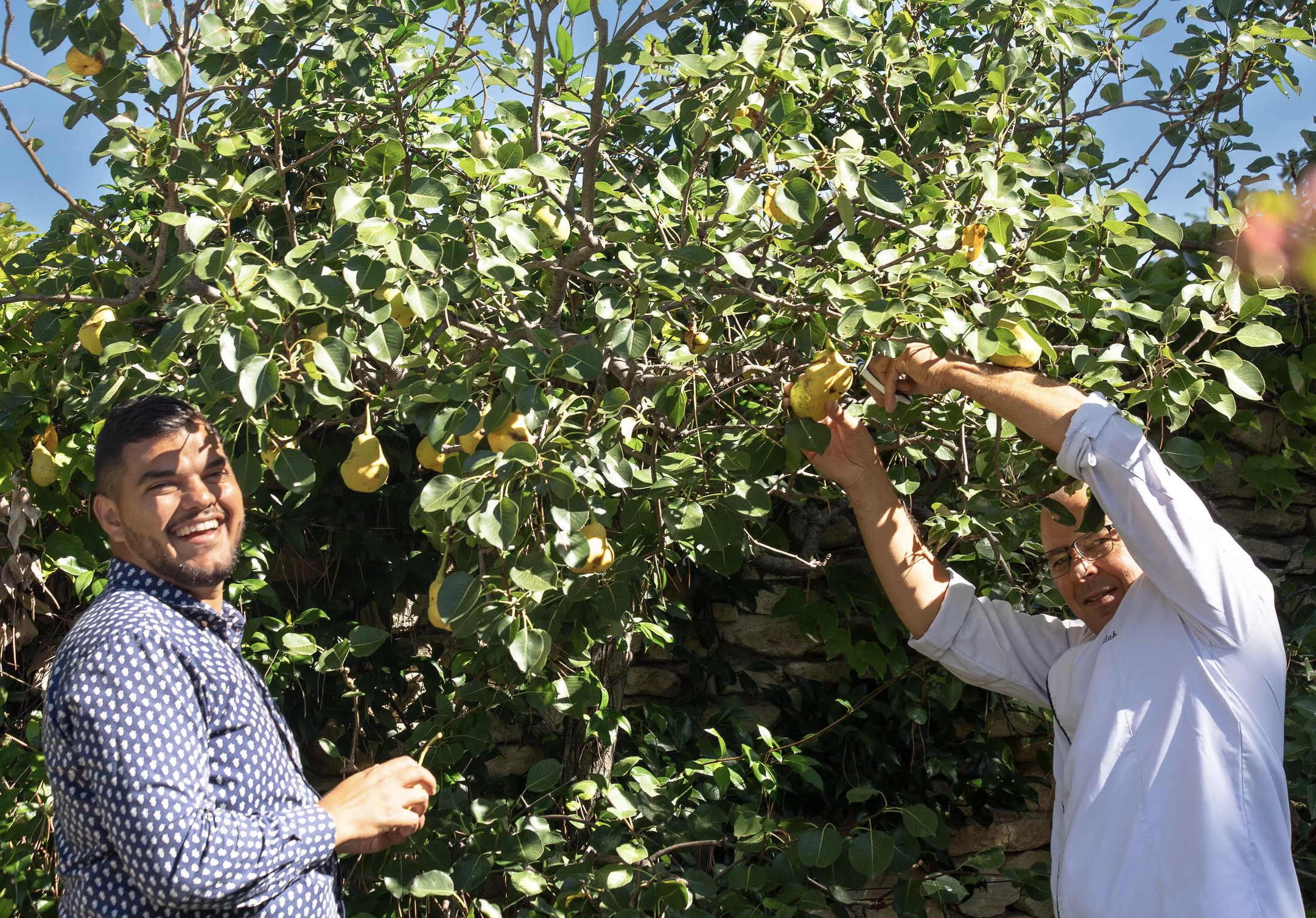 Les produits locaux et provençaux, pour une expérience culinaire incroyable !